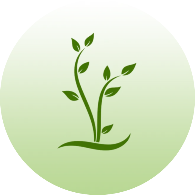 Handcrafted Excellence