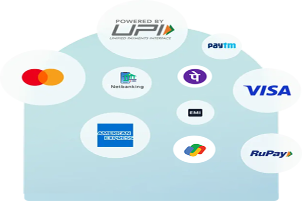 Accept every payment and delight every customer