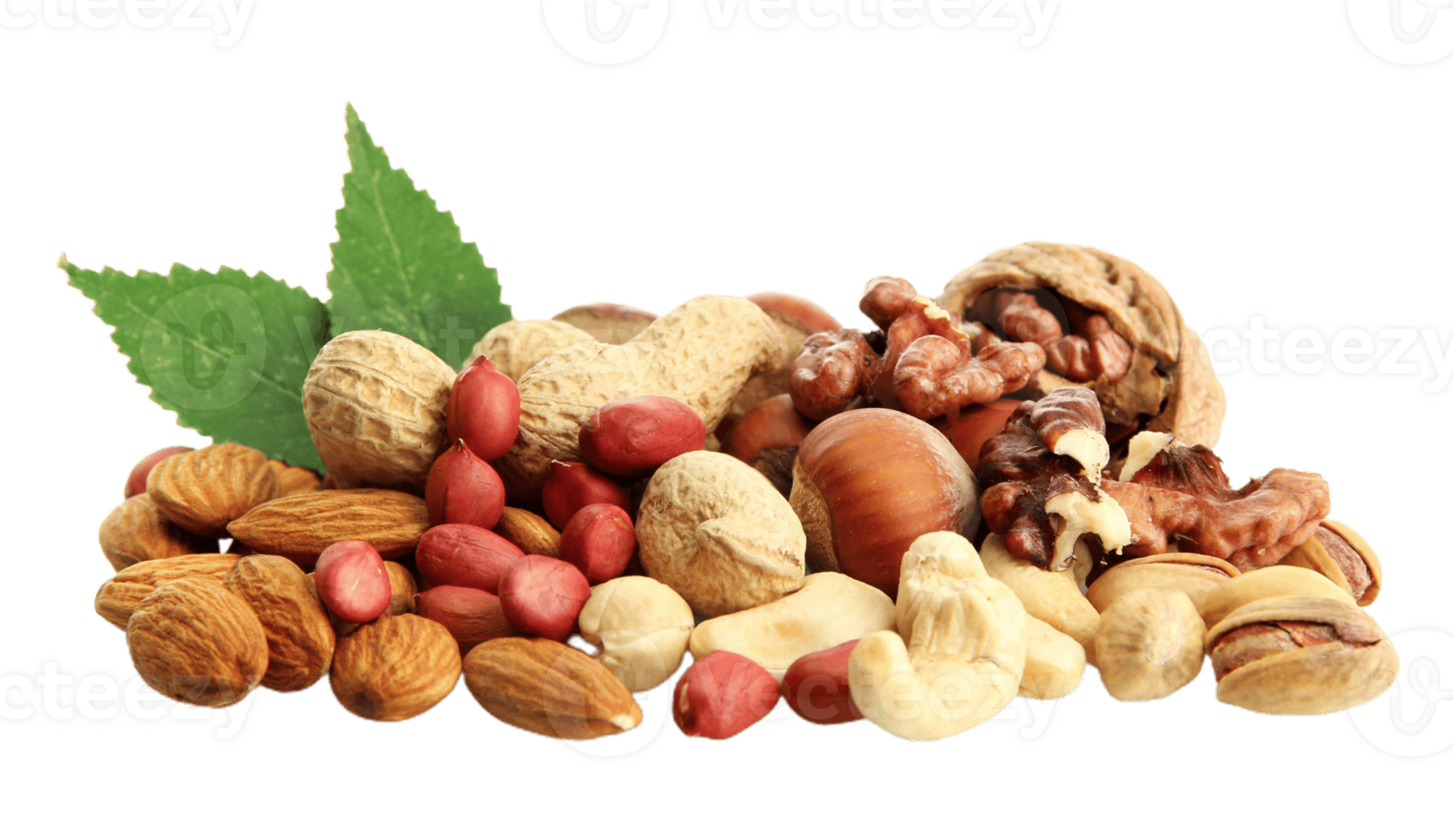 We put better nutrition first